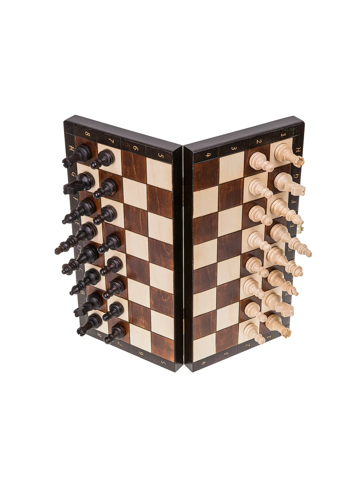Chess Magnetic