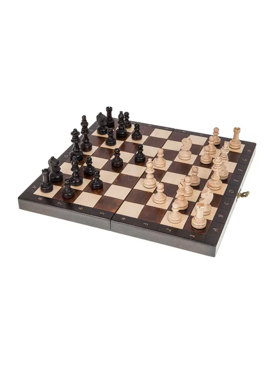 Chess Magnetic