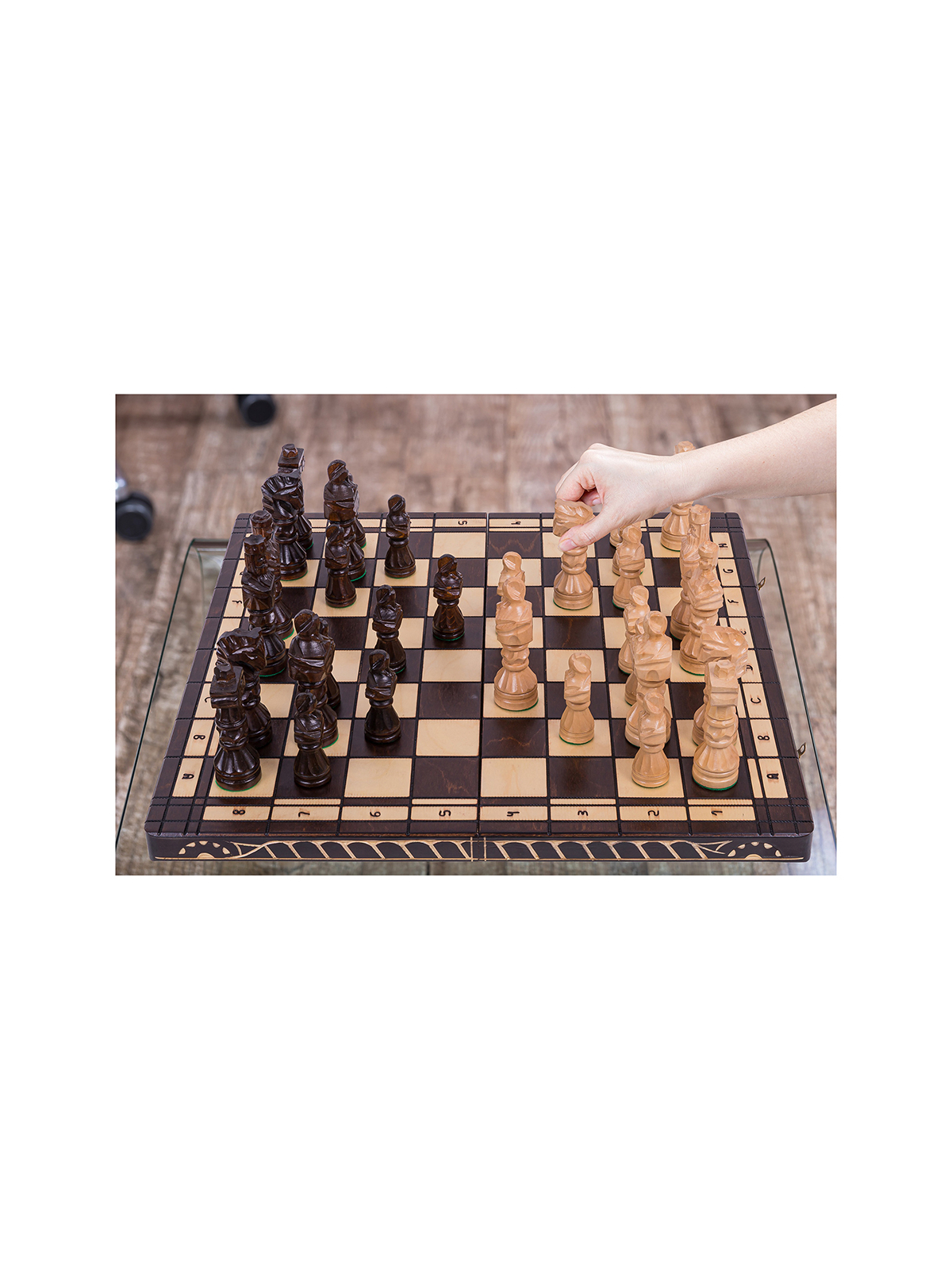 Chess Gladiator - Online Chess Shop -  sklep-szachy.mom