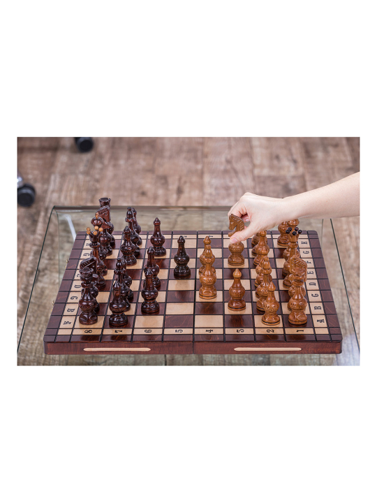 Chess Vienna