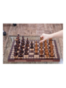 Chess Vienna