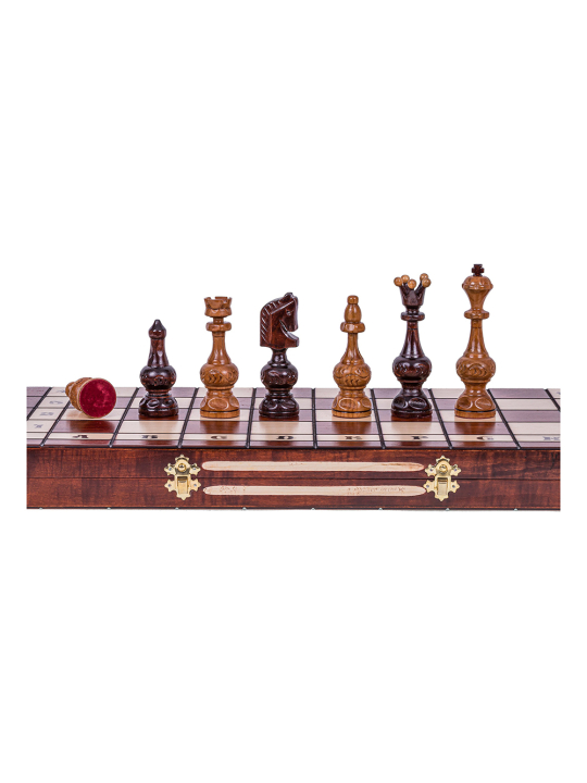 Chess Vienna