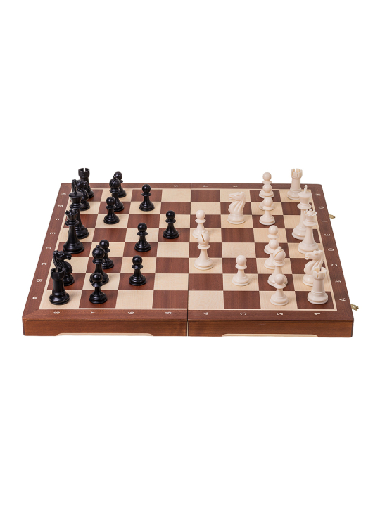Chess Tournament No 5 - Basic - Online Chess Shop - sklep-szachy.mom