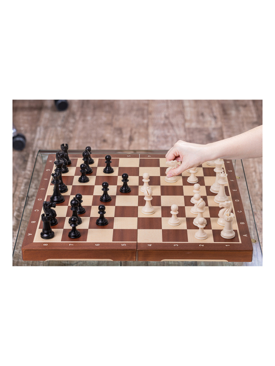 Chess Tournament No 5 - Basic - Online Chess Shop - sklep-szachy.mom